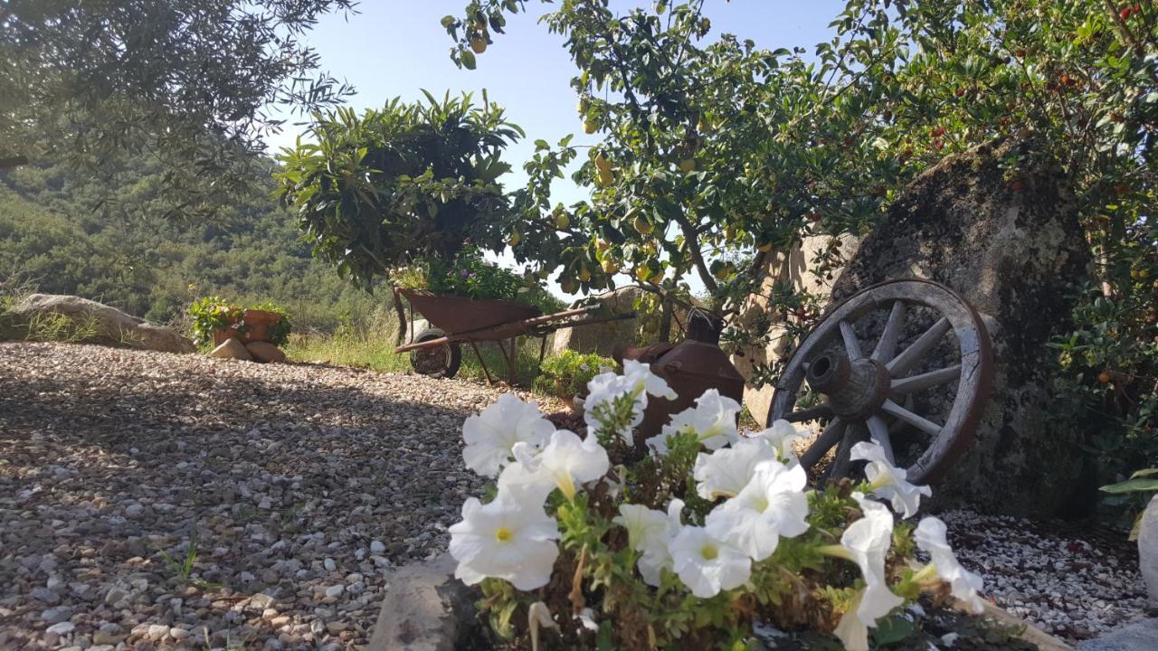 B&B Casa Vacanza Centro Sardegna Sorgono Eksteriør billede