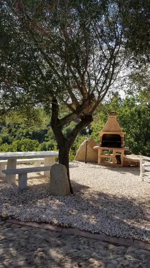 B&B Casa Vacanza Centro Sardegna Sorgono Eksteriør billede