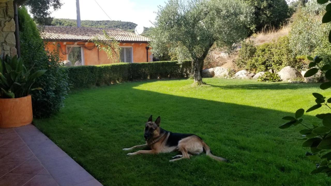 B&B Casa Vacanza Centro Sardegna Sorgono Eksteriør billede